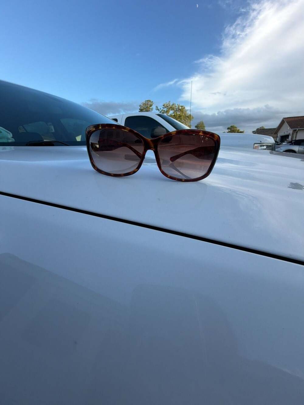Steve Madden S244 TS Tortoise Brown Gradient Sunglasses